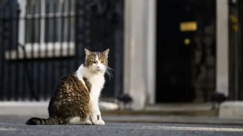 Larry the cat outside 10 Downing Street