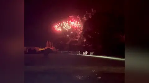Redwings Horse Sanctuary Horses seemingly panicked by a firework display