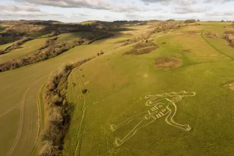 National Trust / James Beck An aerial view of the Cerne Abbas giant chalk hill figure and the surrounding landscape of green rolling hills and hedgerows. Clouds dot the sky and are casting shadows on the ground in the distance.
