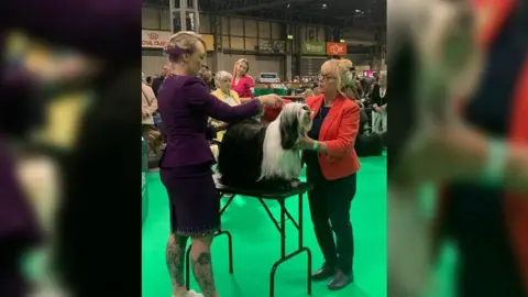 Paige Le Moignan Paige Le Moignan and Mika at Crufts 2025 with a judge who is wearing a red blazer. The floor is covered in a green carpet. Mika is long haired with a black body and a white head with black ears. Ms Le Moignan is wearing a matching two-piece purple top and skirt.