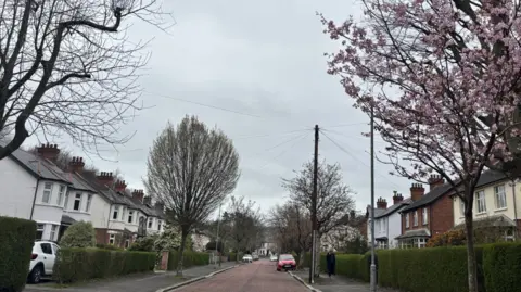 A street view from Stormont Park. A long street with houses aligned either side.  