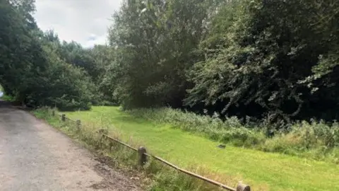 A wooded area and path in Pleck Park, Walsall. 