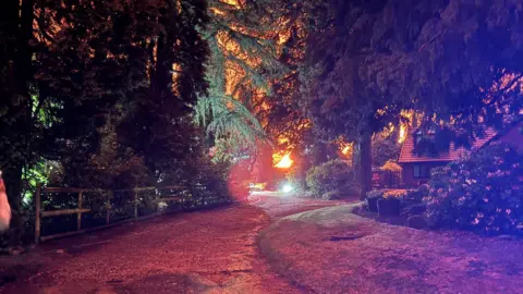 A building on fire, seen between the gaps of trees in the distance