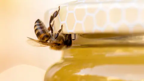 Dumitru Doru EPA-EFE/REX/Shutterstock Bee on a jar of honey