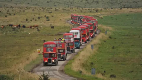 Imberbus A line of about 17 red double-decker Routemaster buses moving along a small tarmacced road with open fields and cattle on either side