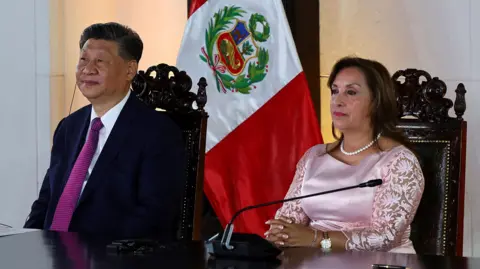 Reuters Chinese President Xi Jinping with Peruvian President Dina Boluarte on 14 November. The pair are sitting at a table in front of a Peruvian flag.