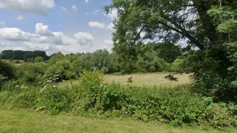 Google Maps A grass verge, hedge and then a field behind it with trees and further grassland.