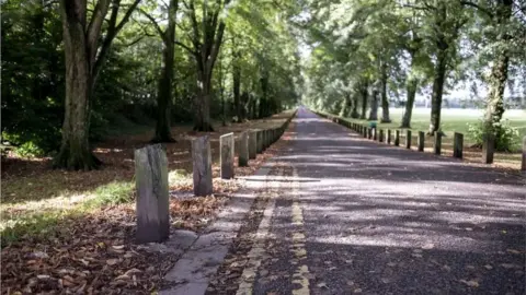 Getty Images A cycle and pedestrian path with double yellow lines on the left hand side. It's around autumn with brown leaves covering the grass area and a bit of the path. 