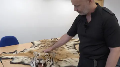 GEMMA DAWSON/BBC Det Con Aaron Flint is looking at a taxidermy tiger skin rug with his hand resting on the tiger's head