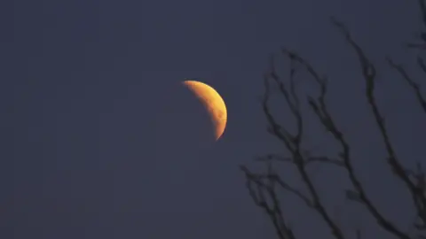 Curly The night sky, and the Moon in a crescent shape because of the large shadow covering it. The Moon is a deep yellow colour and there are silhouettes of some tree branches in the foreground of the picture.