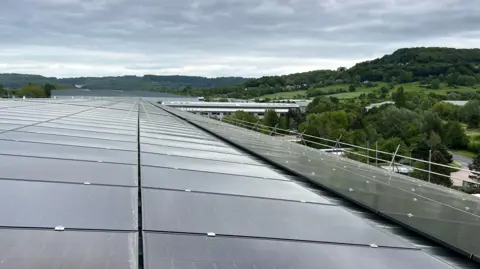 Close up of solar panels with trees and a grey sky in the background.