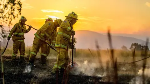 CFA firefighters conduct black-out operations at dusk as they mop up remaining hot spots following bushfire activity near Alexandra, Victoria, Australia, photo taken 9 January
