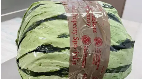 CBP A close-up of the drugs wrapped in plastic to resemble a watermelon