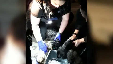 Nottinghamshire Police Dogs drinking