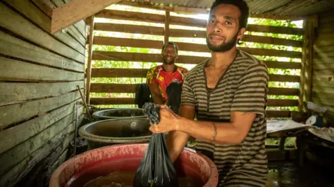 Chris Morgan/BBC Vanuatu men process kava root