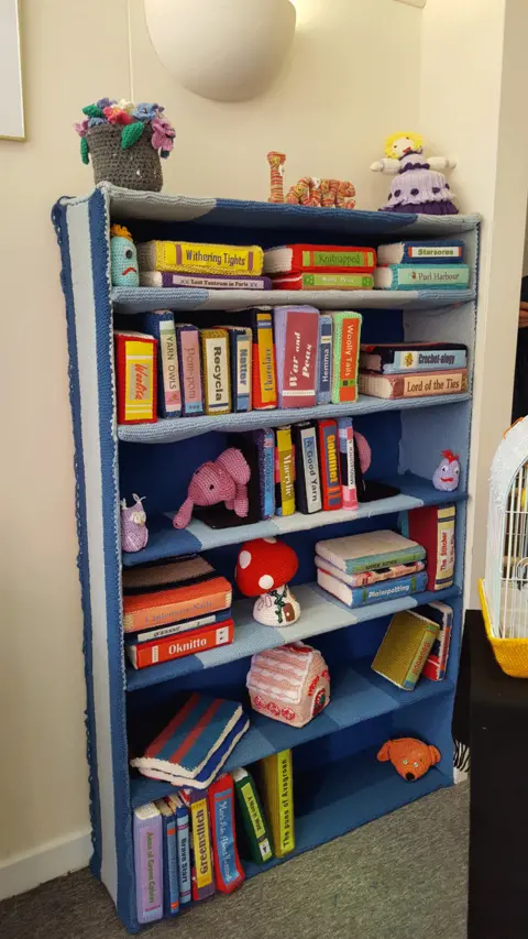 Souter Stormers Bookcase