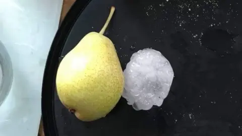 Tom Walsh Hail next to pear