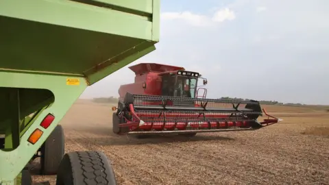 Getty Images US soybeans