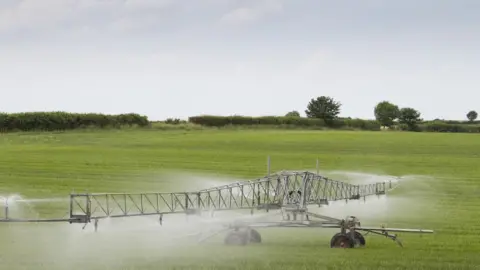 Getty Images Irrigation of grassland in Lincolnshire