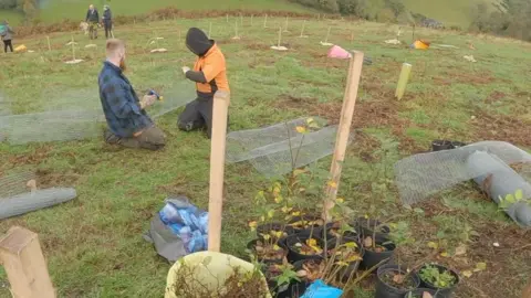 Tree planting