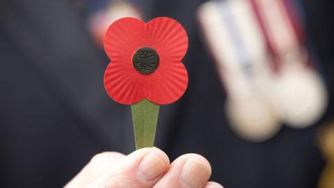 Royal British Legion gives poppy plastic-free makeover, Remembrance Day