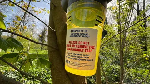 A yellow trap that says property of northern ireland envirmoent agency. Please do not touch or remove this asian hornet trap. For more information contact: NIEA invasive species team. Email invasivespecies@daera-ni.gov.uk on a white label 