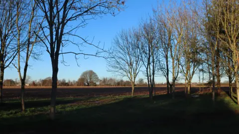 Ned Garnett A tree-lined field, with more trees in the distance and blue skies on a sunny winter day. The trees have no leaves and the field is mostly dark and brown.