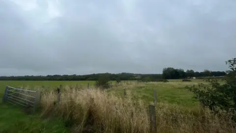 LDRS A slightly overgrown field with long grass growing along the wire fence. A metal gate can be seen on the left with another trimmed field in the distance. The sky is overcast.