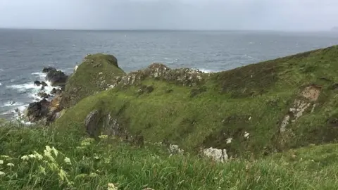 Northern Picts Project Dillyminnen