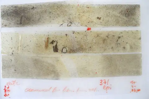 Sussex Police DNA tapings from Karen Hadaway