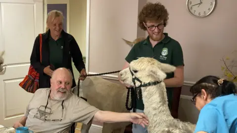 Luke Deal/BBC A care home resident strokes one of the alpacas during a visit