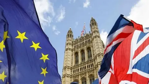 AFP Parliament and flags