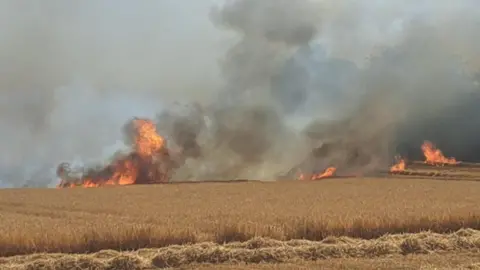 Kevin Ellis Flames and thick grey smoke rise from a fire burning across a field. Several pockets of fire are visible along the field edge, with dense smoke billowing upwards across the sky.