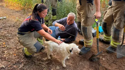 Notts Lost Dogs A female firefighter scratching the back of a white parson Russell Terrier