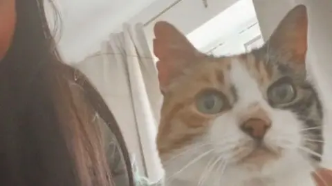 Charlie, who has a white and tortoise-shell coloured face
