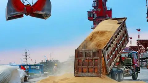AFP A truck in China unloading soybeans from Brazil