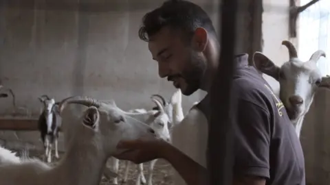 Simone and his goats