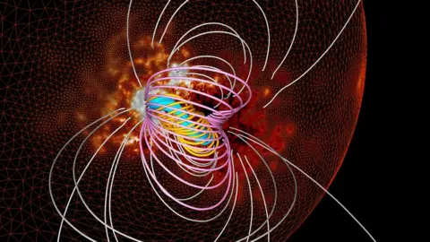 Tahar Amari et al / CNRS-Ecole Polytechnique Cage and rope
