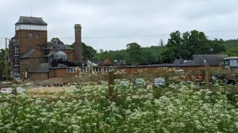 Serena Martin Picture of the damaged stables block