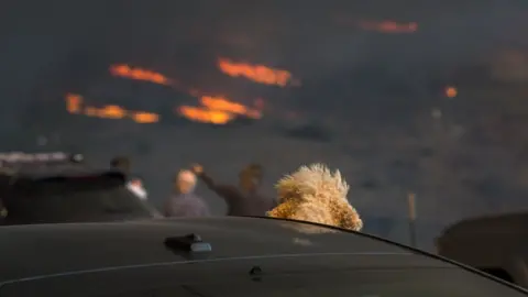 Getty Images A dog watches from a car as flames approach during the Woolsey Fire