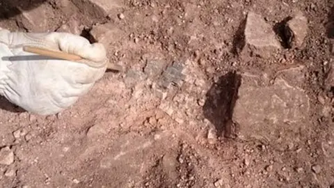 Climber Park Mosaic flooring uncovered during the Clumber House archaeological dig