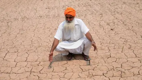 A farmer wearing an orange turban and white kurta on his parched farm in Punjab's Patiala in 2020.