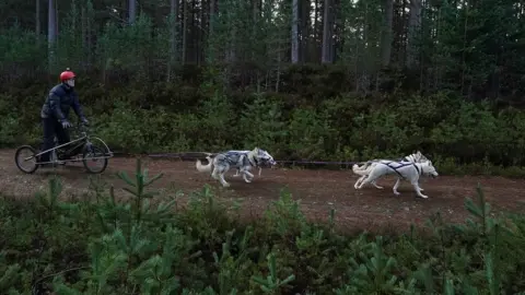 PA Media/Andrew Milligan Sled dog rally