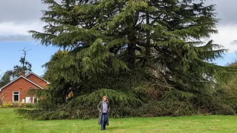 Ann Evans and the tree