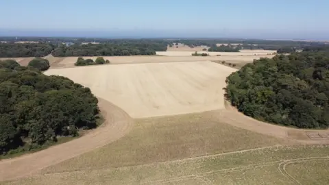 Jamie Niblock/BBC The dry fields of Holkham Estate