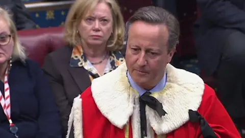 The new Lord Cameron