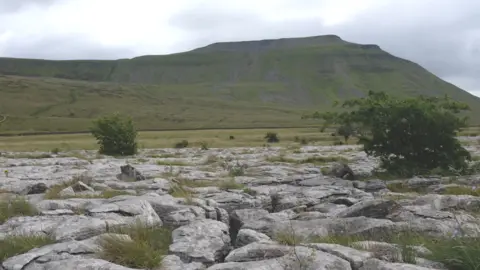 YDNPA Ingleborough from Raven Scar