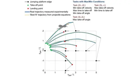 Scientific Reports The science