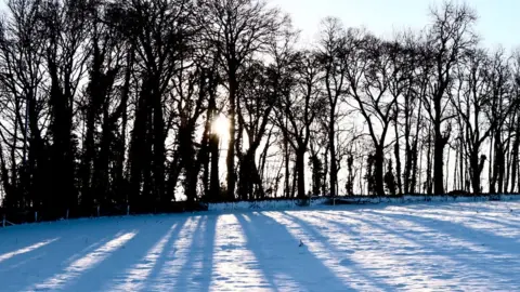 Rosalyn Green Rollwrights