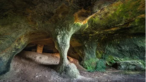 Lamar Francois CAves